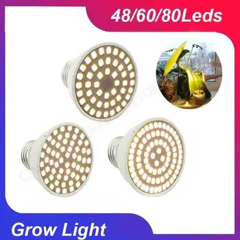 E27 Lizdas LED Lempos Lemputė, Prožektorius 48 60 80Leds Lampara Šiltnamio efektą sukeliančių Namų Phytolamp Augalų Gėlė Auga Augalų Šviesos